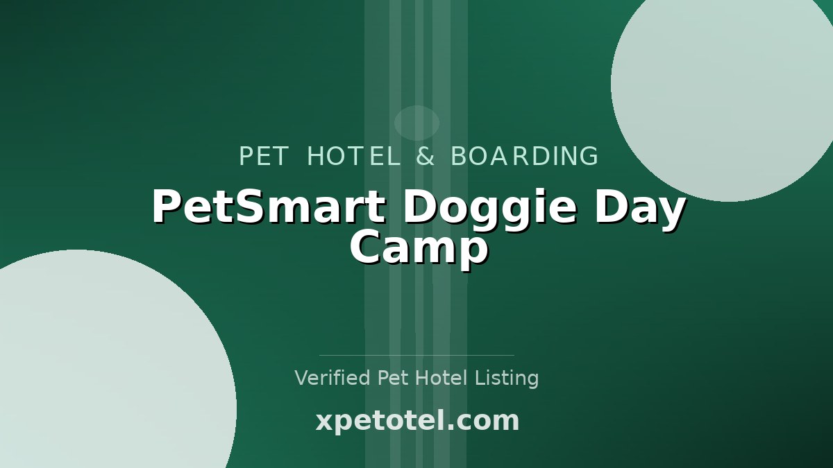 PetSmart Doggie Day Camp