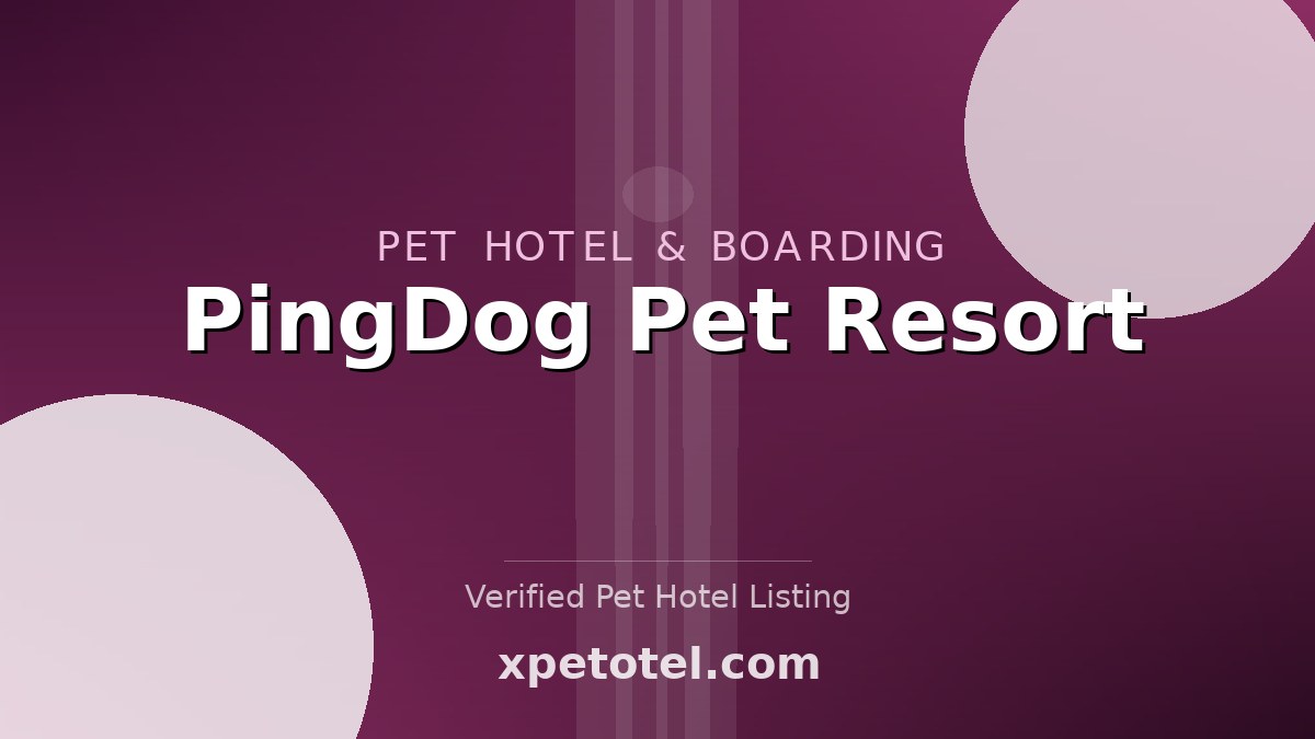 PingDog Pet Resort pet hotel Harvard