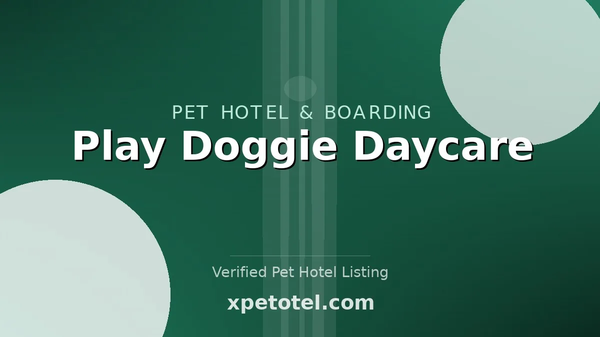 Play Doggie Daycare