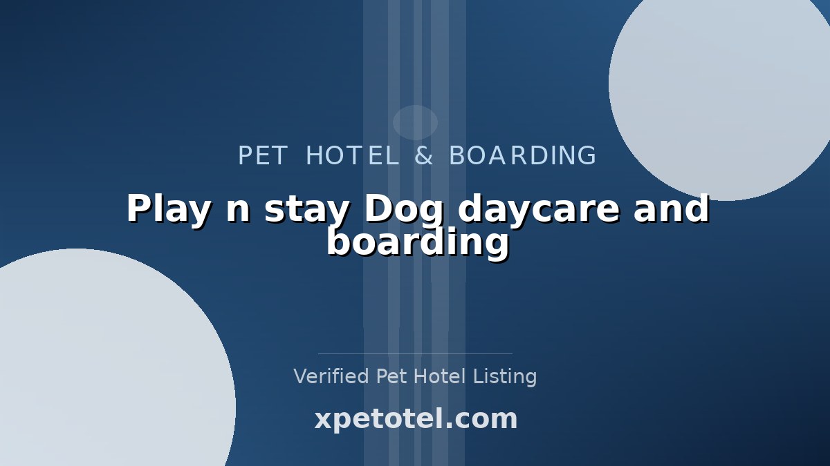 Play n stay Dog daycare and boarding pet hotel Coeur d'Alene