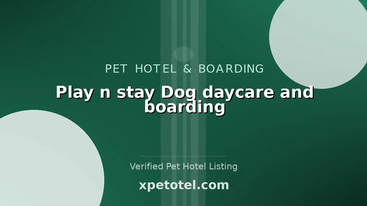 Play n stay Dog daycare and boarding