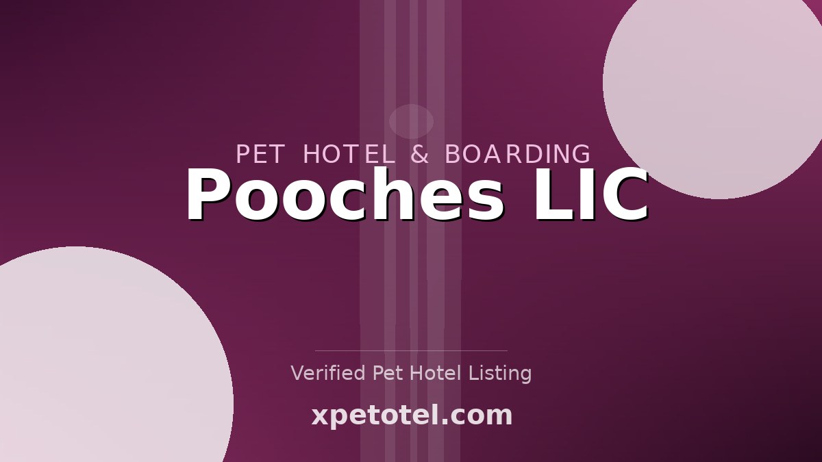 Pooches LIC pet hotel Brooklyn