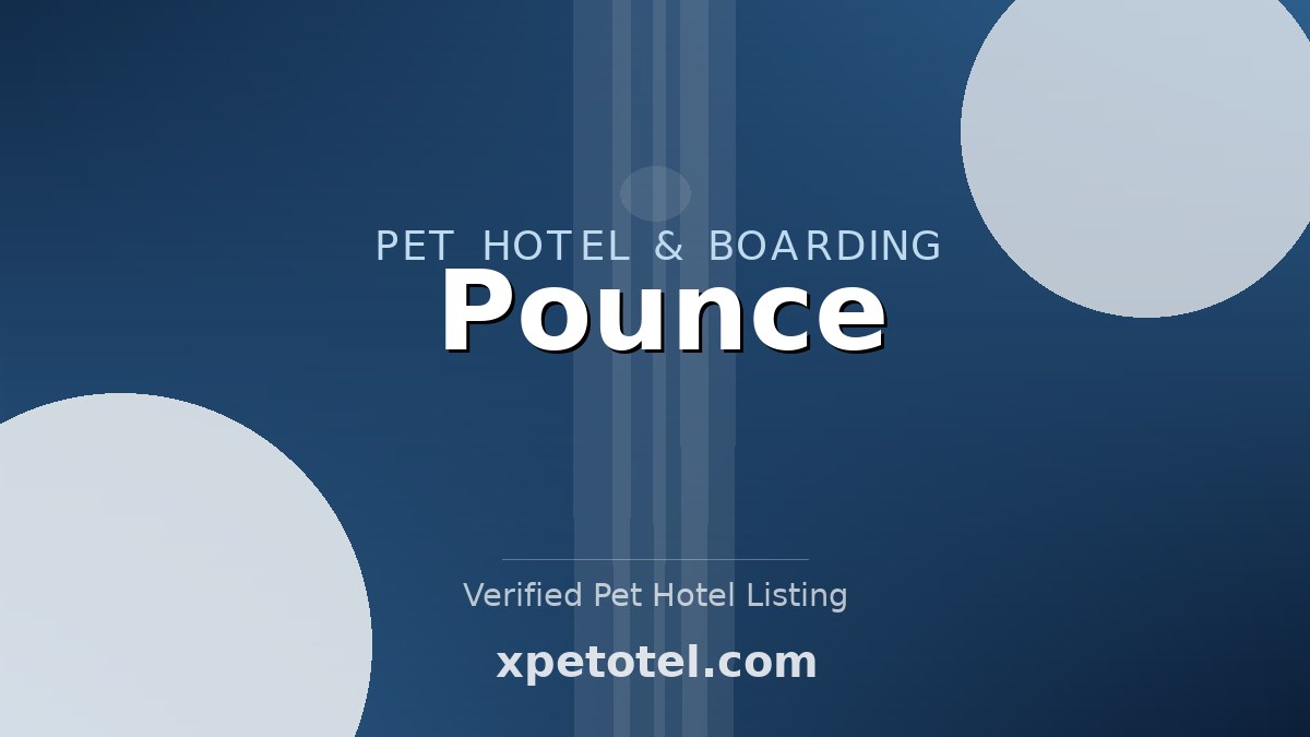 Pounce pet hotel Portland