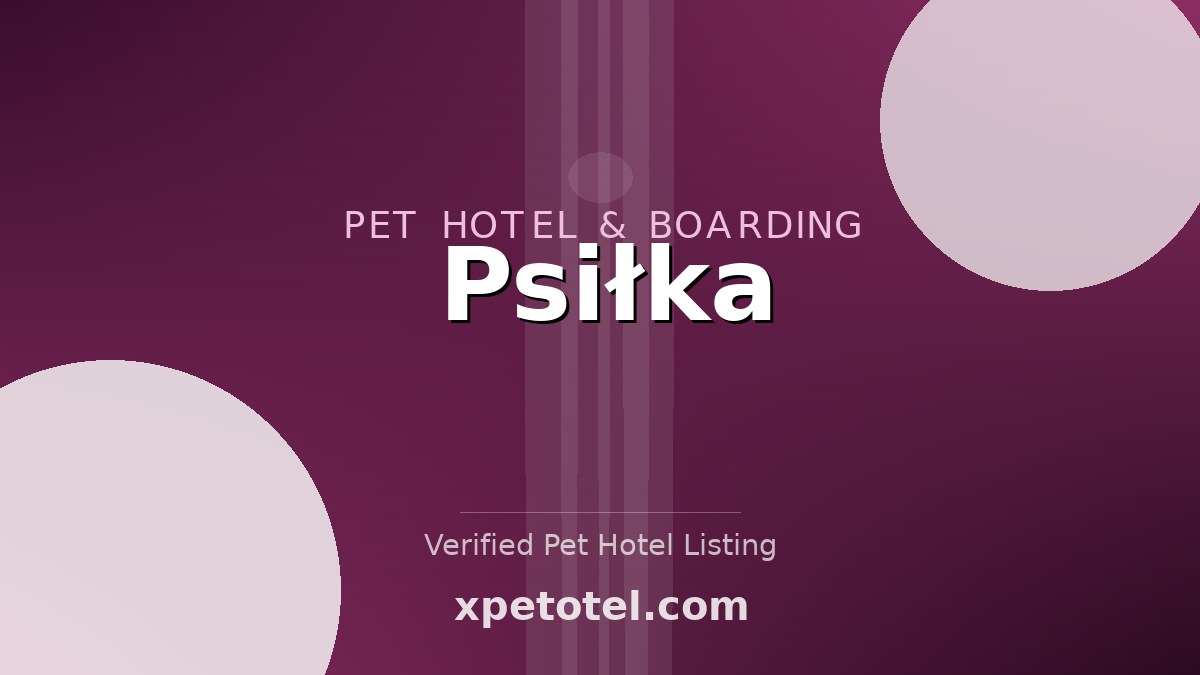 Psiłka pet hotel Czekanów