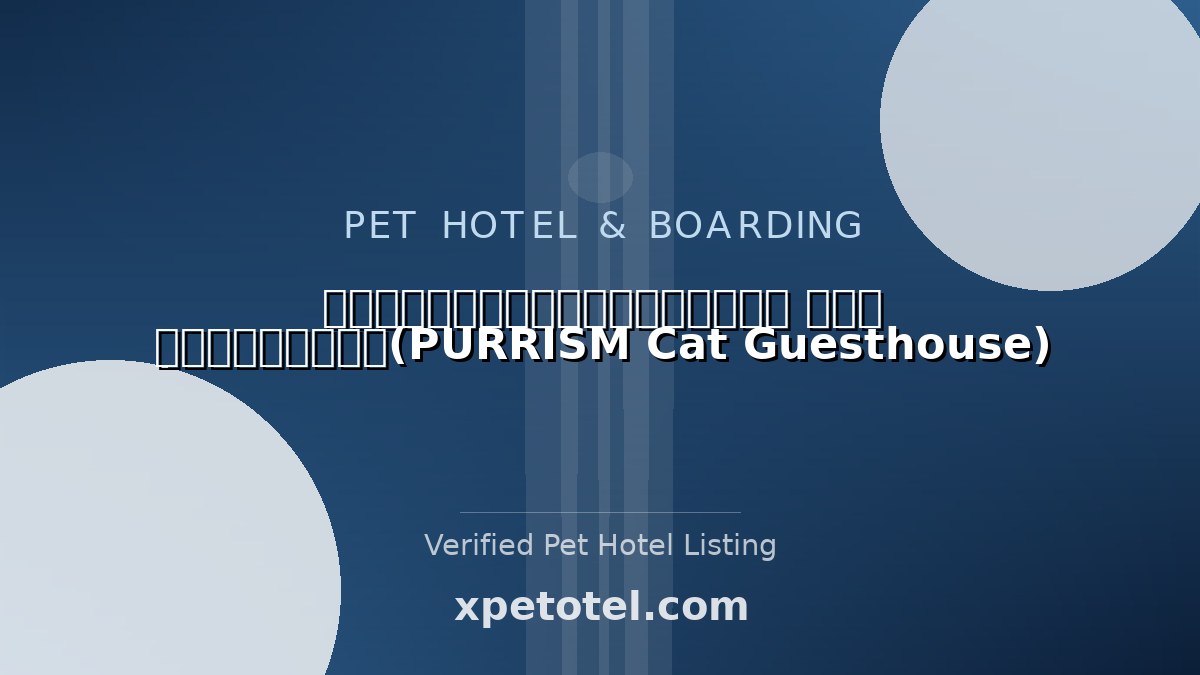 โรงแรมแมวเพอริซึ่ม แคท เกสเฮ้าส์(PURRISM Cat Guesthouse) pet hotel กรุงเทพมหานคร