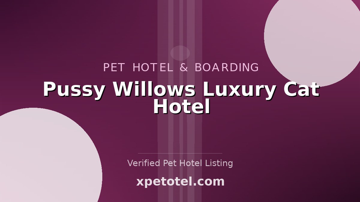 Pussy Willows Luxury Cat Hotel pet hotel Derby