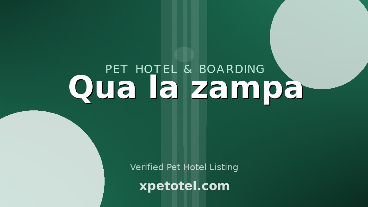 Qua la zampa