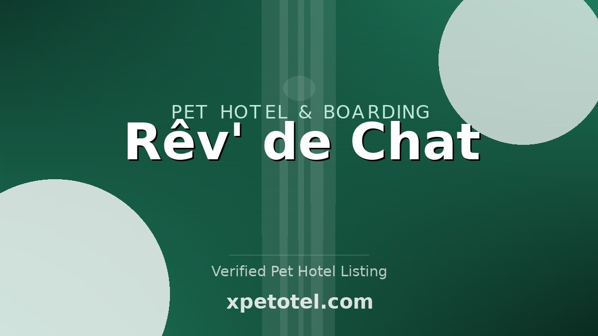 Rêv' de Chat
