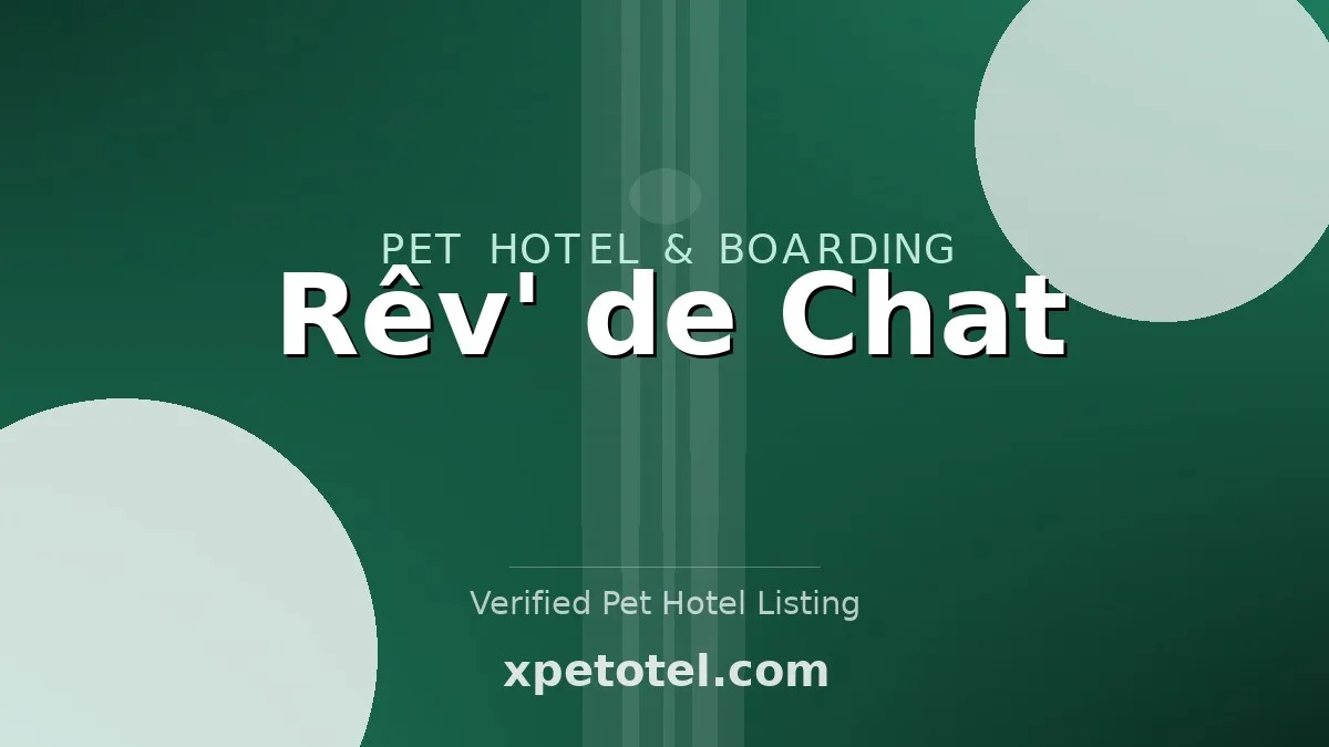 Rêv' de Chat