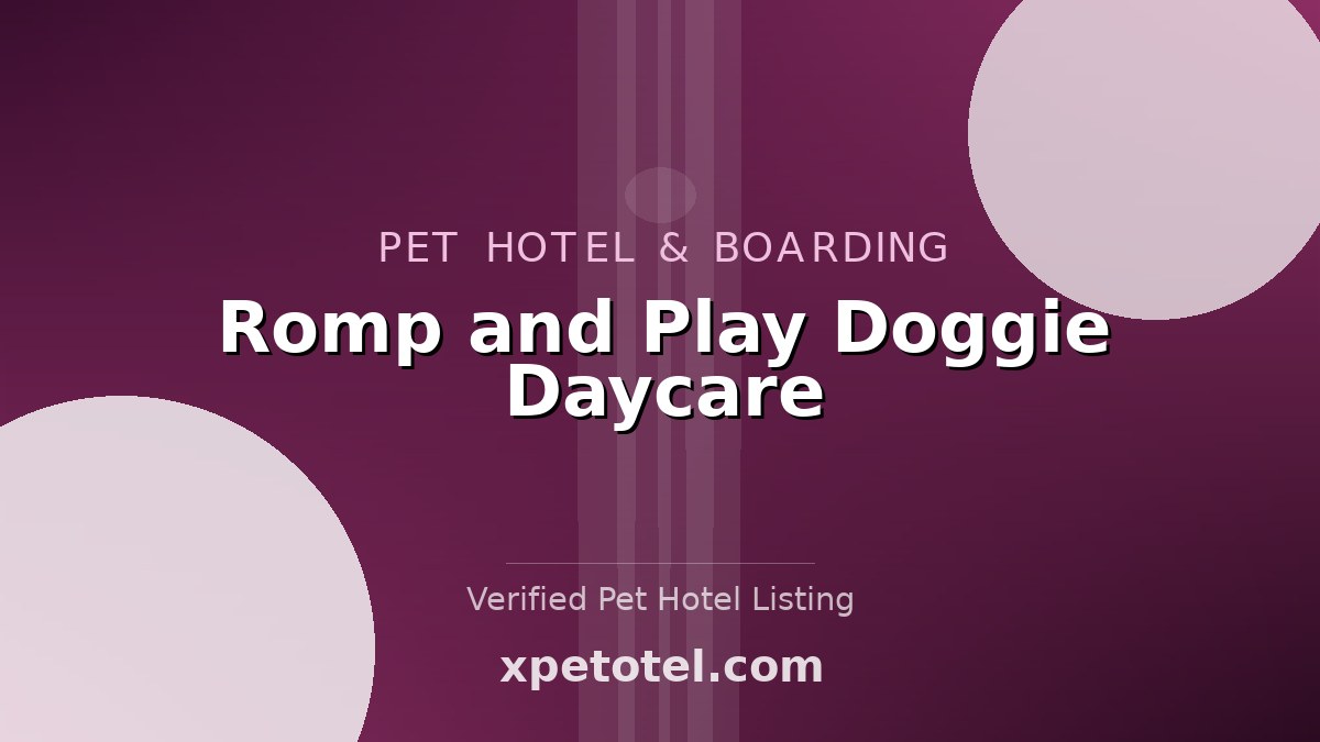 Romp and Play Doggie Daycare pet hotel East Syracuse