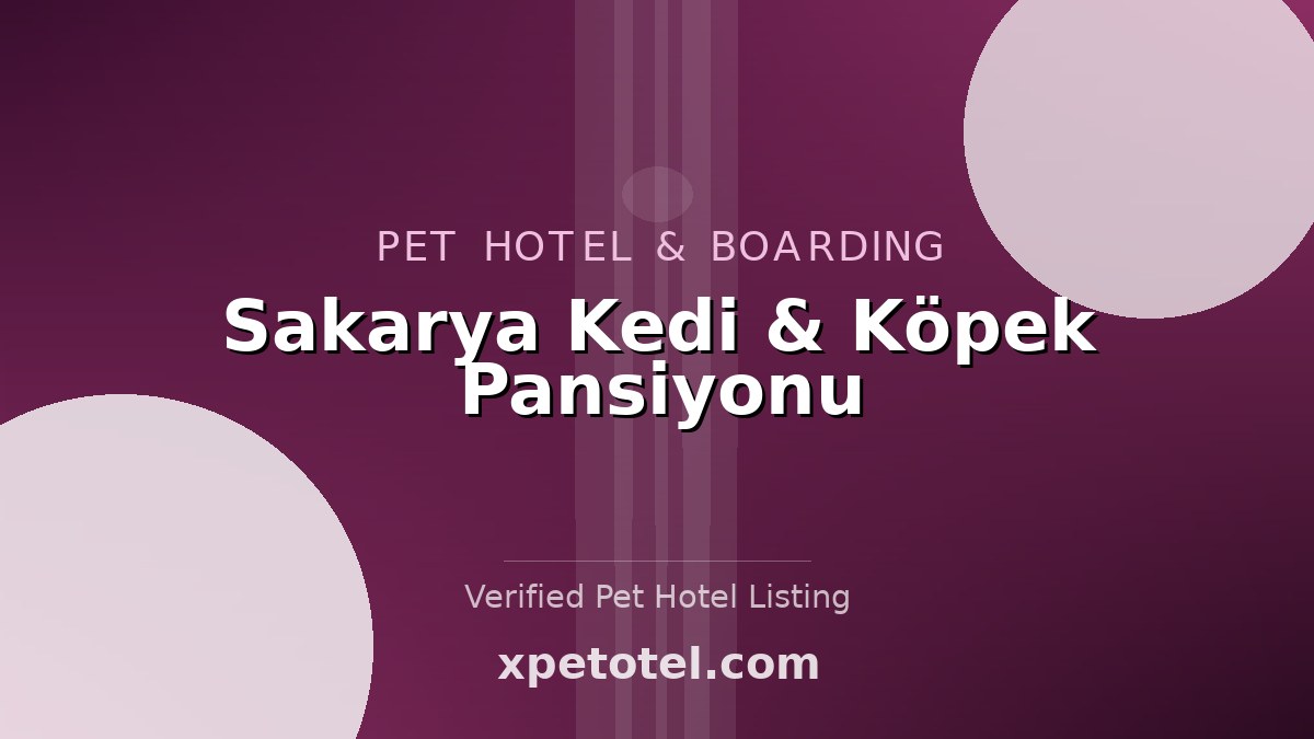 Sakarya Kedi & Köpek Pansiyonu pet hotel Sakarya