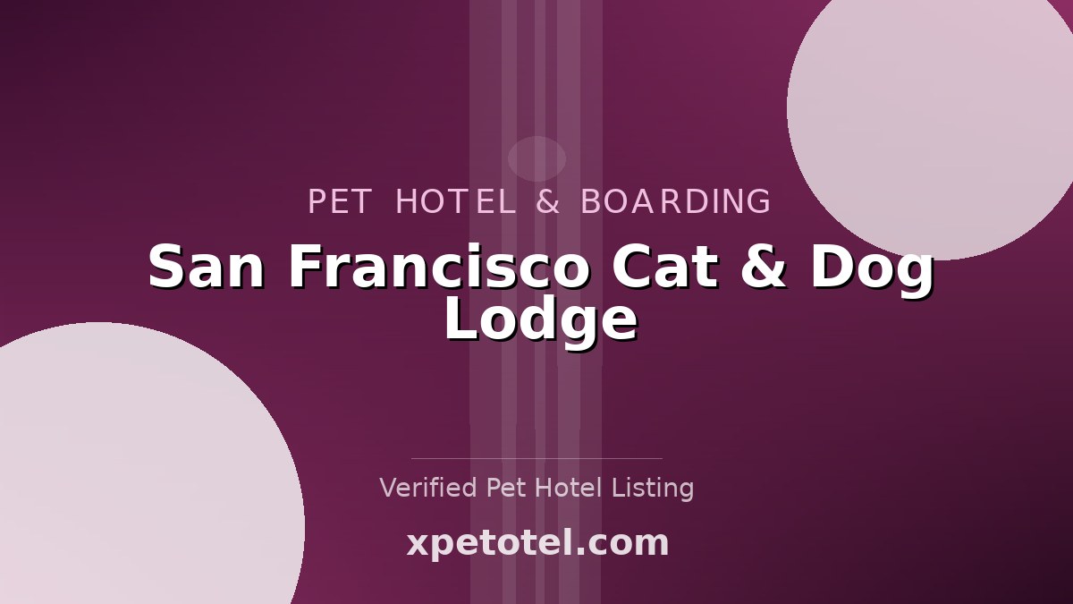 San Francisco Cat & Dog Lodge pet hotel San Francisco