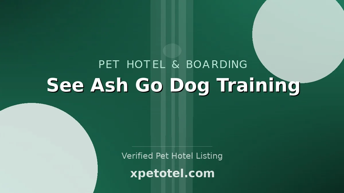 See Ash Go Dog Training