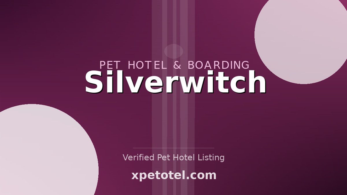 Silverwitch pet hotel Edinburgh