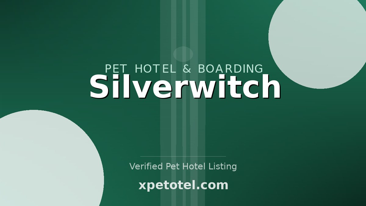 Silverwitch