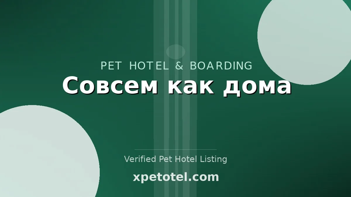 Совсем как дома