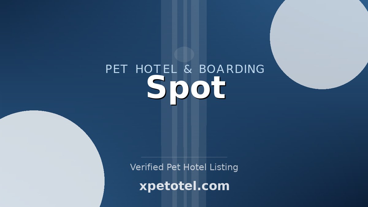 Spot pet hotel Brooklyn