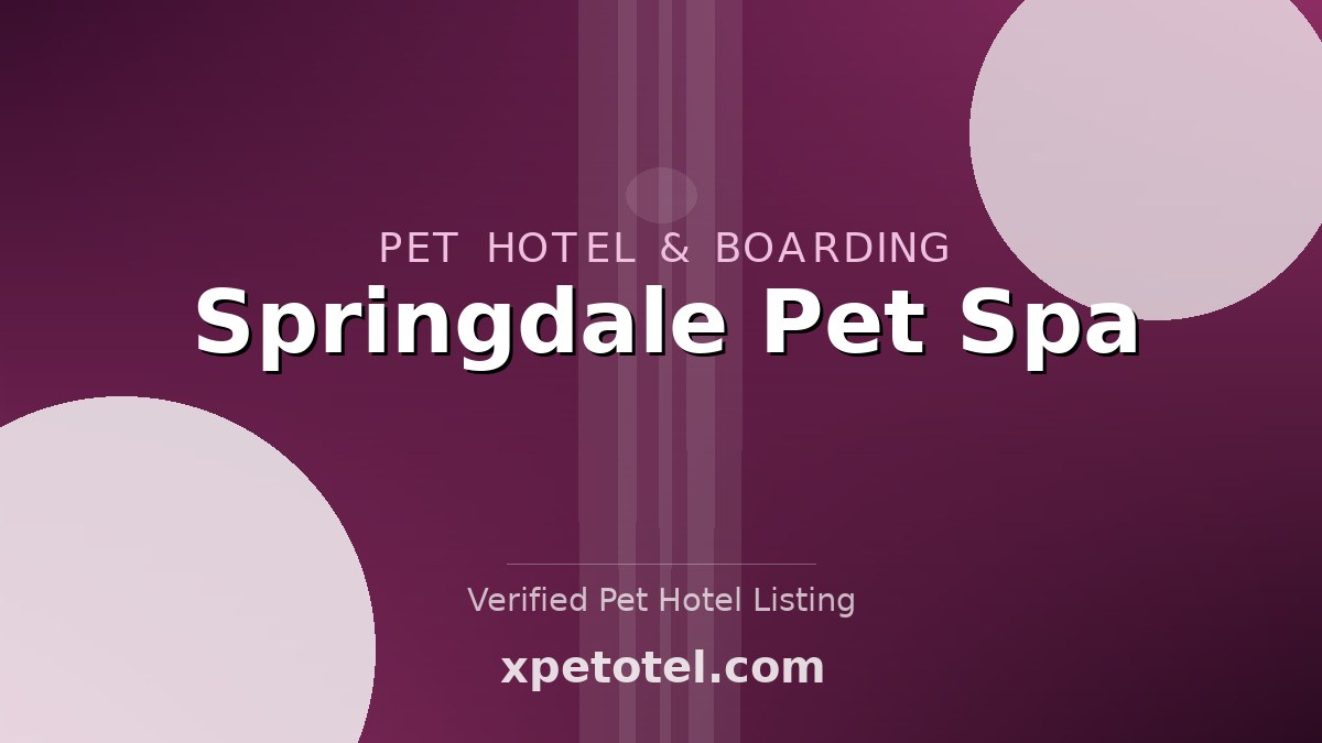 Springdale Pet Spa pet hotel Mississauga