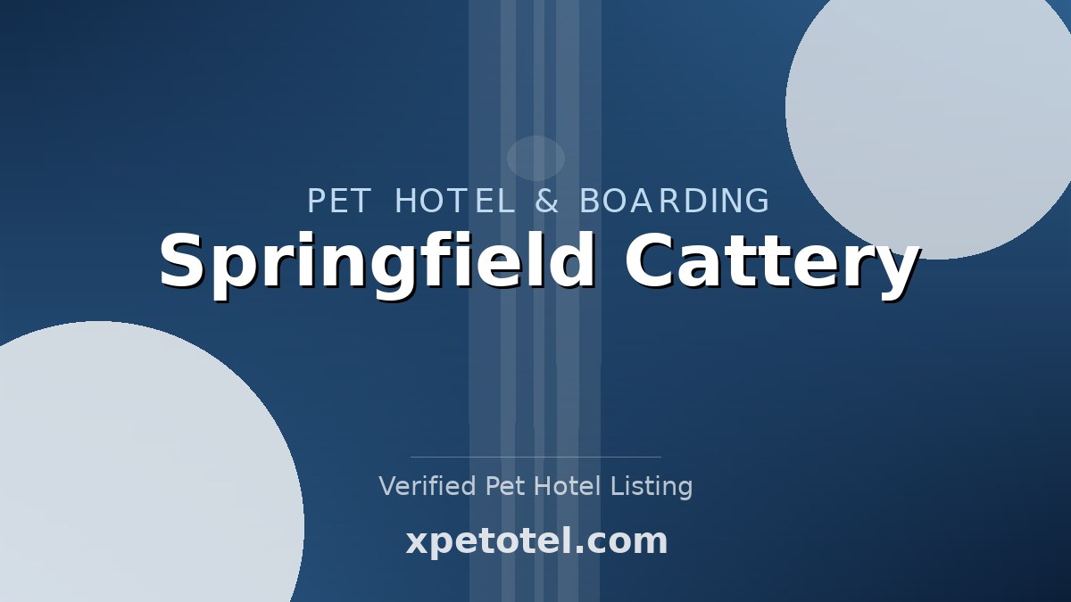 Springfield Cattery pet hotel Derby