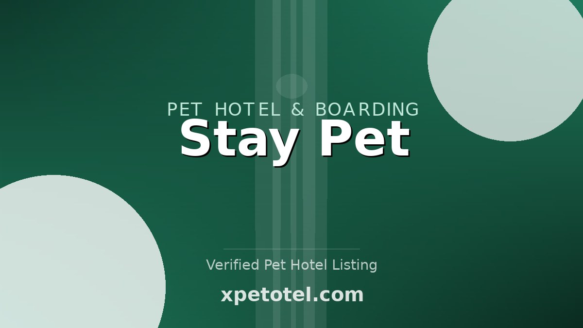 Stay Pet