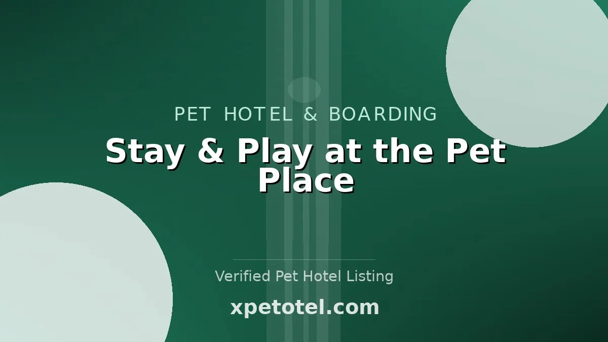 Stay & Play at the Pet Place