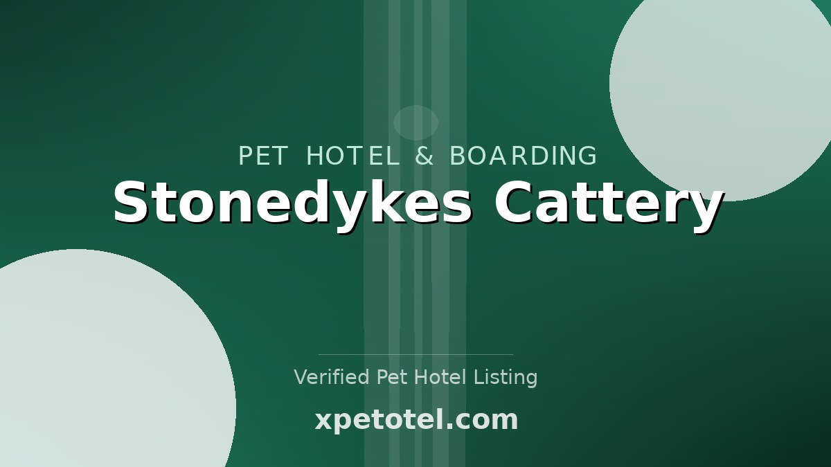 Stonedykes Cattery