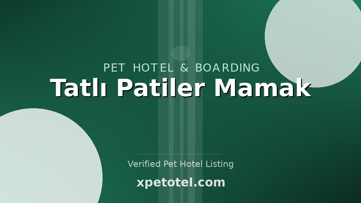 Tatlı Patiler Mamak