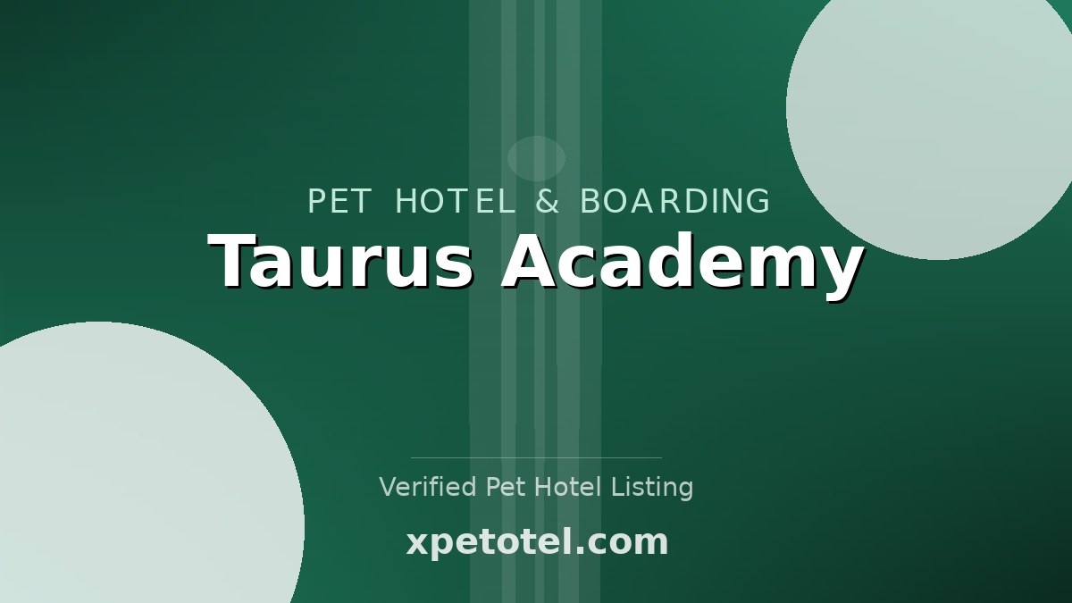 Taurus Academy