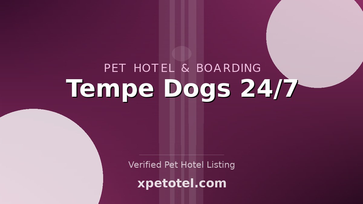 Tempe Dogs 24/7 pet hotel Paradise Valley