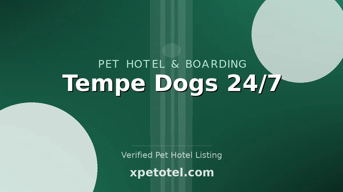 Tempe Dogs 24/7