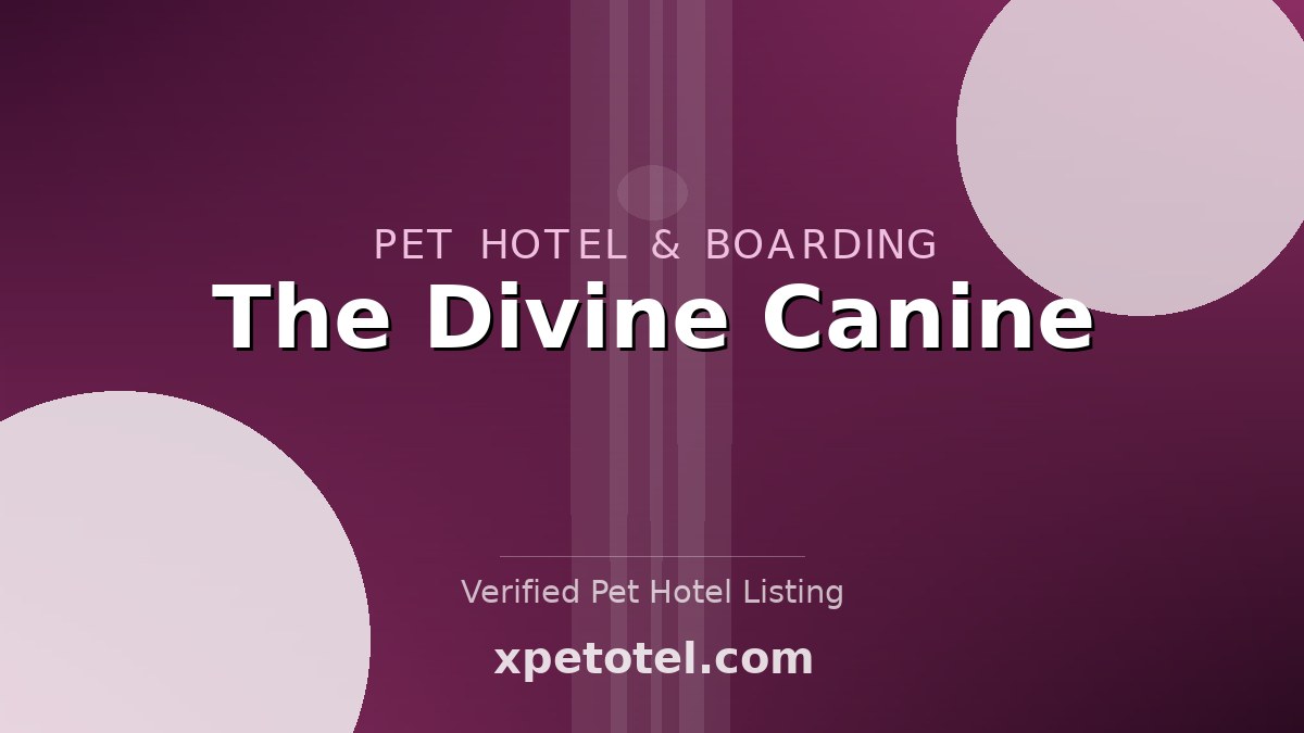 The Divine Canine pet hotel Lakewood