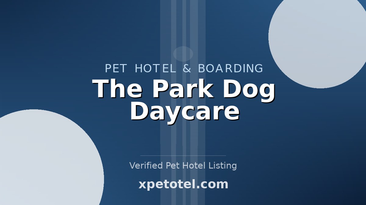 The Park Dog Daycare pet hotel Calgary