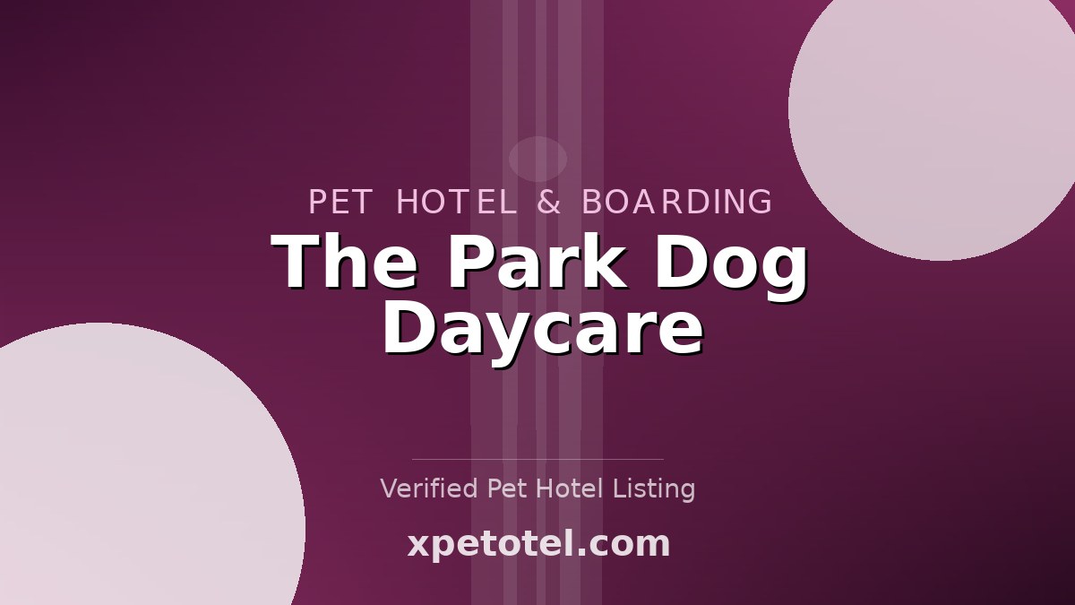 The Park Dog Daycare pet hotel Calgary