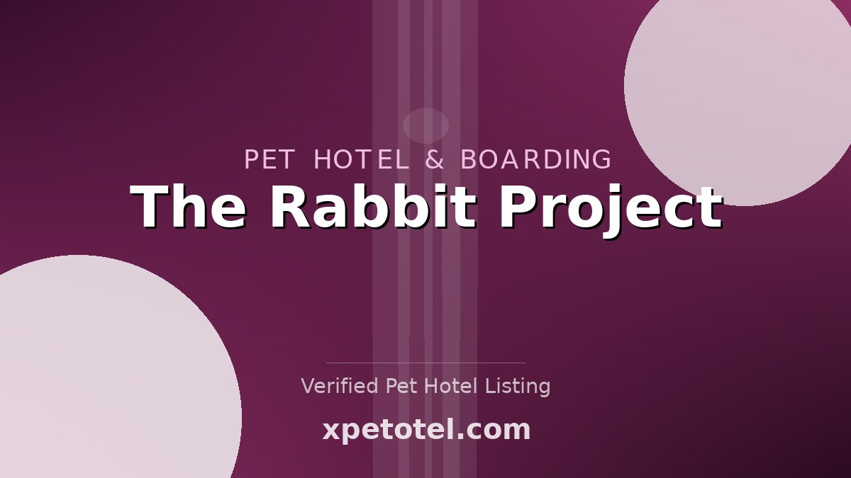 The Rabbit Project pet hotel Chesterfield