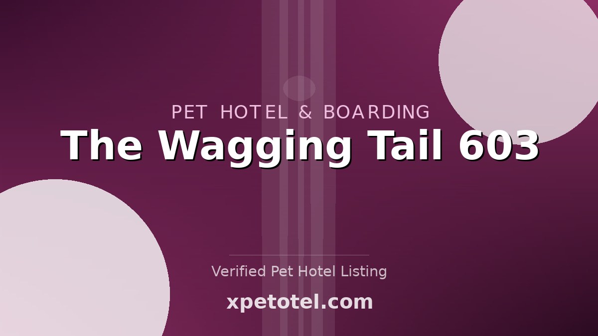 The Wagging Tail 603 pet hotel Stratham