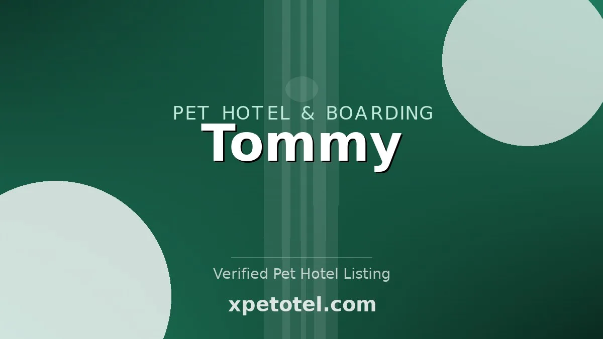 Tommy