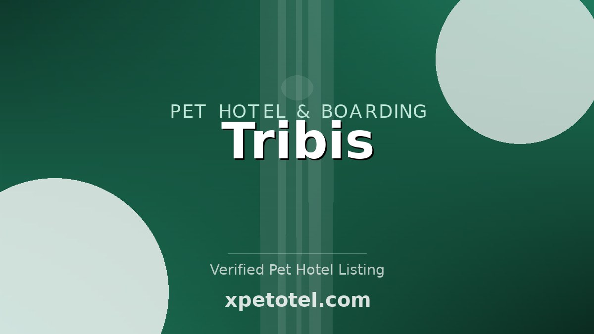 Tribis
