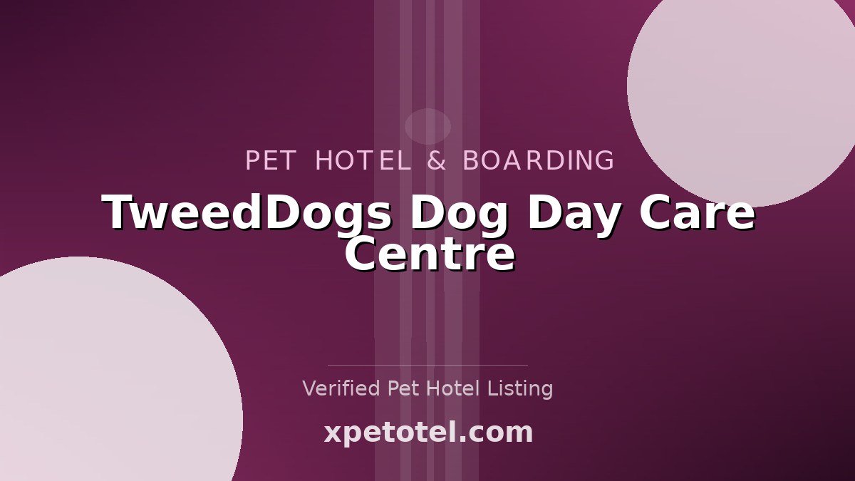 TweedDogs Dog Day Care Centre pet hotel Hawick