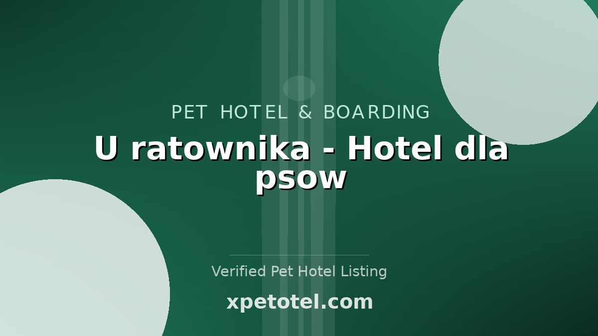 U ratownika - Hotel dla psow