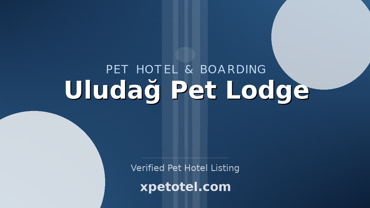 Uludağ Pet Lodge pet hotel Bursa