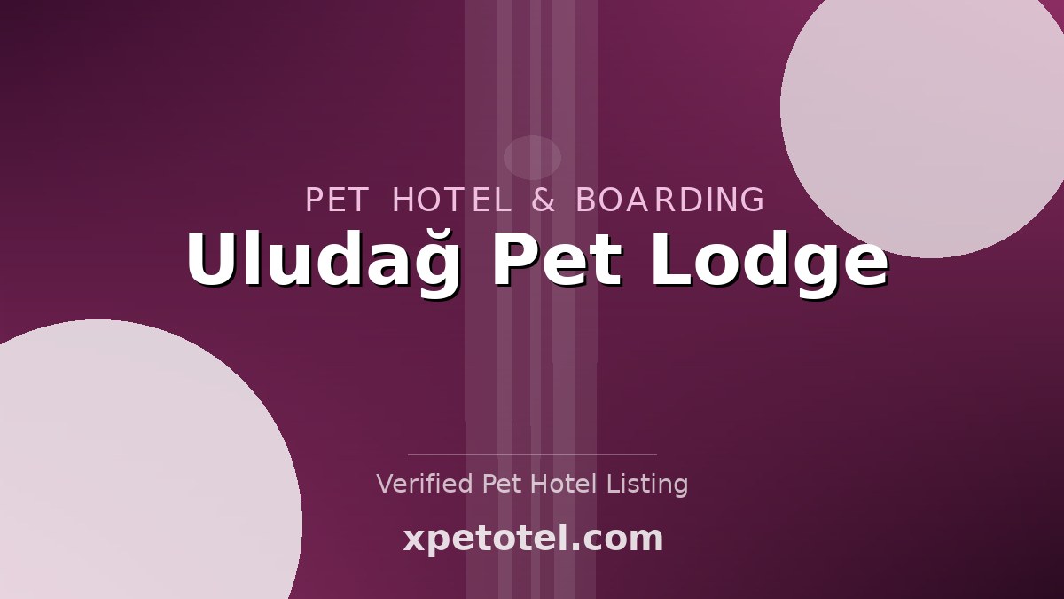 Uludağ Pet Lodge pet hotel Bursa