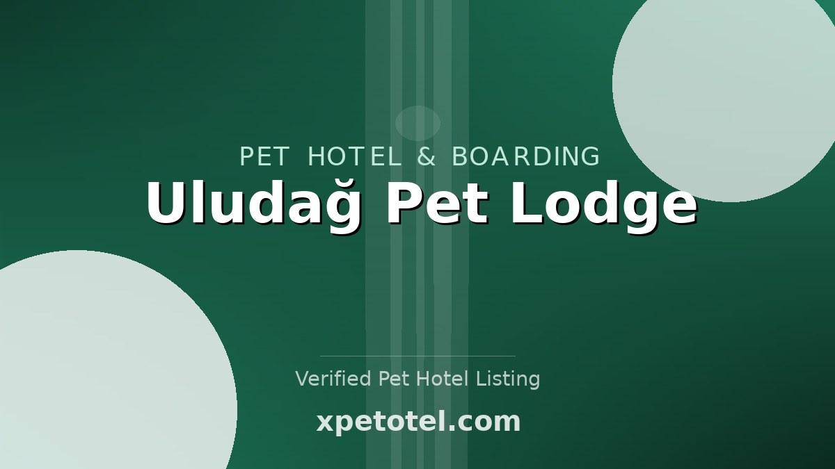 Uludağ Pet Lodge