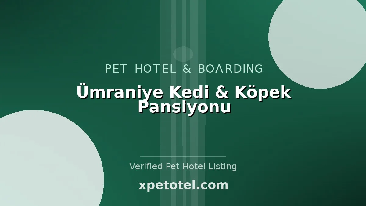 Ümraniye Kedi & Köpek Pansiyonu