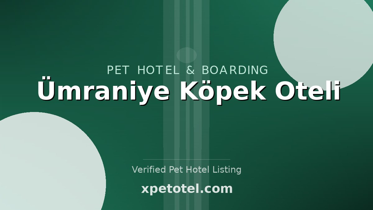 Ümraniye Köpek Oteli