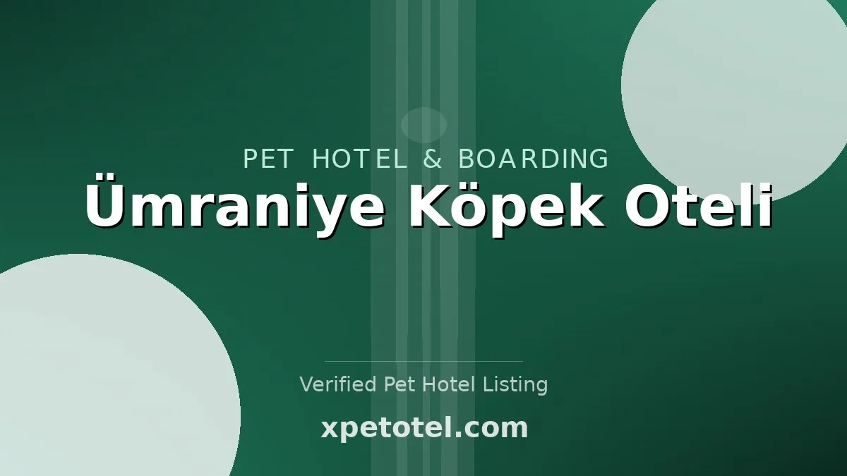 Ümraniye Köpek Oteli