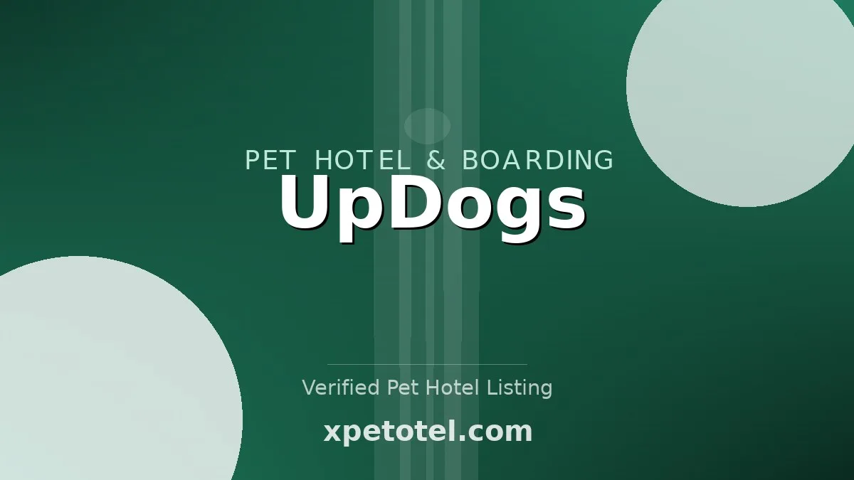 UpDogs