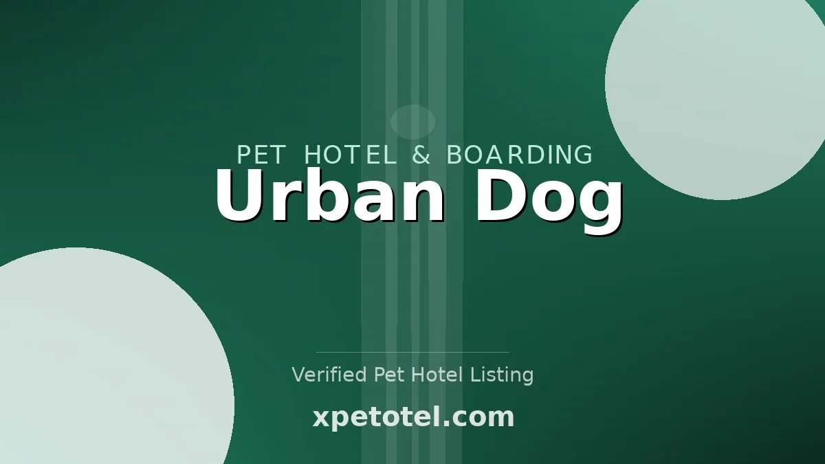 Urban Dog