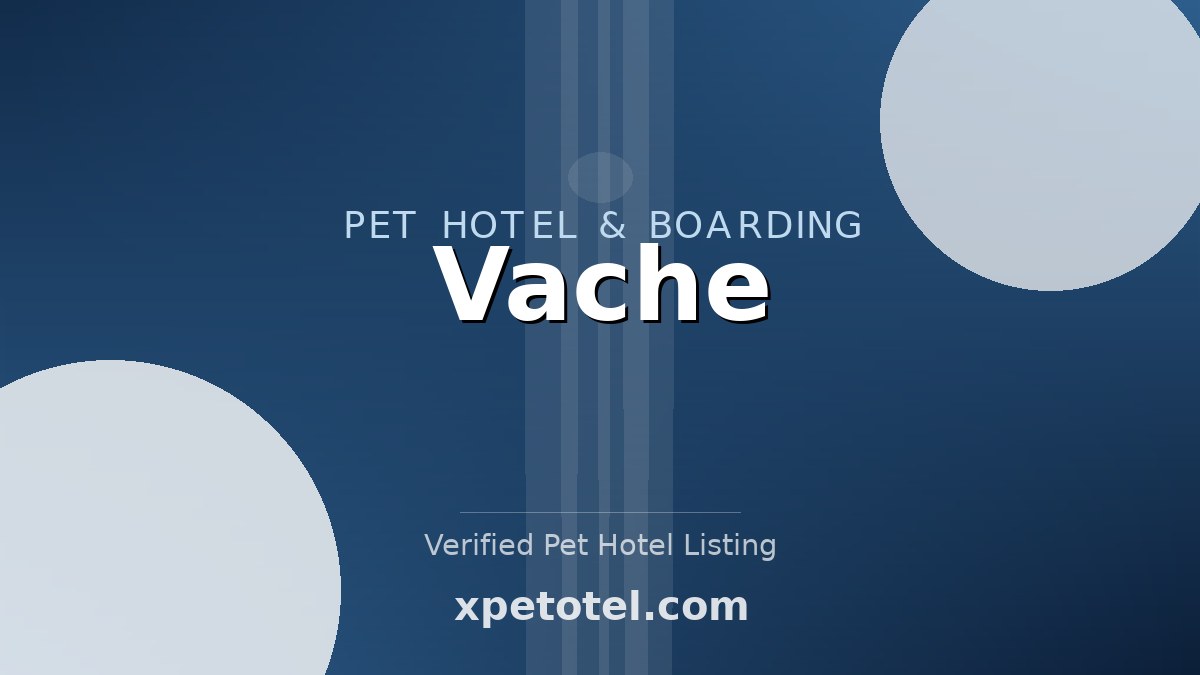 Vache pet hotel Kruisem