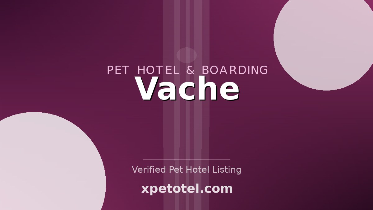 Vache pet hotel Kruisem