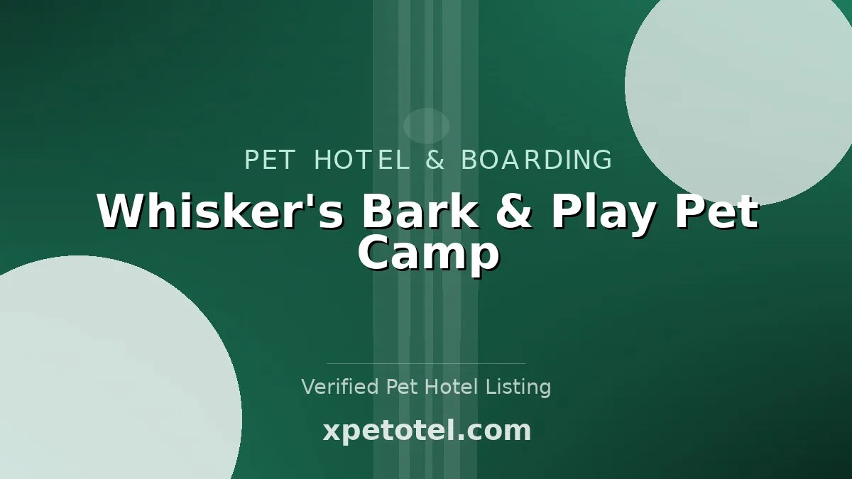 Whisker's Bark & Play Pet Camp